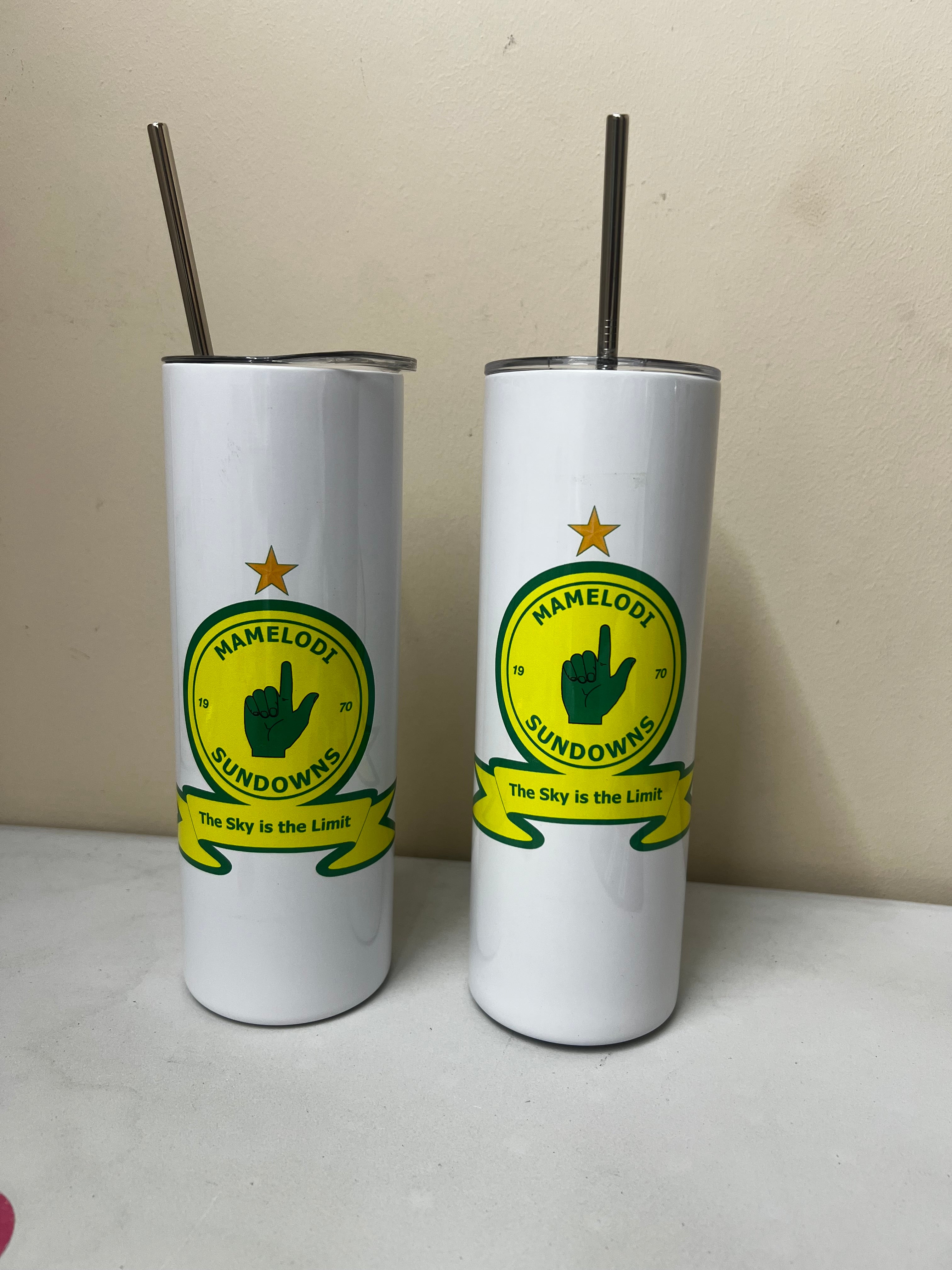 Long stainless skinny tumbler